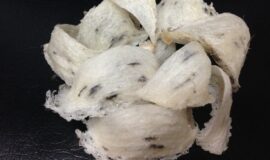 L&rsquo;essor impressionnant du marché des Nids d&rsquo;hirondelle dans la gastronomie de luxe