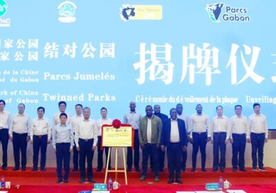 Coopération Chine-Gabon : Jumelage des parcs nationaux de Wuyishan et de Lopé